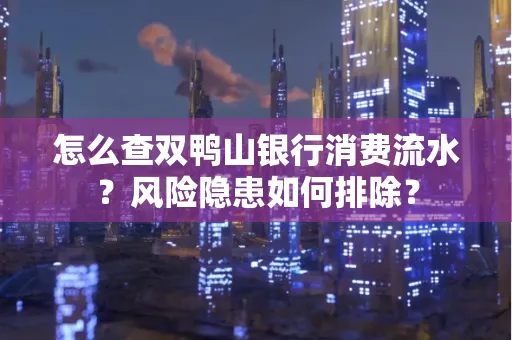 怎么查双鸭山银行消费流水？风险隐患如何排除？