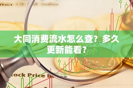 大同消费流水怎么查？多久更新能看？